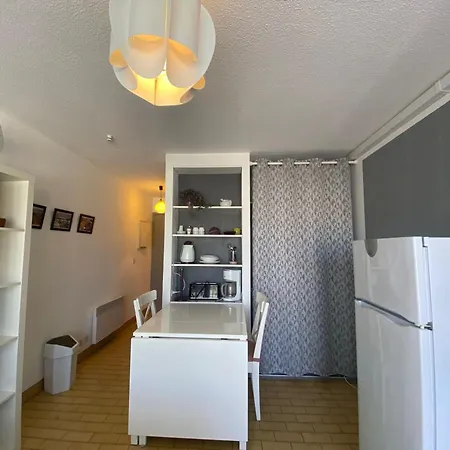 Studio Lumineux Avec Balcon, Proche Thermes, Wifi Gratuite, Lave-linge, Non-fumeur, Parking A Proximite - Fr-1-503-173 Balaruc-les-Bains
